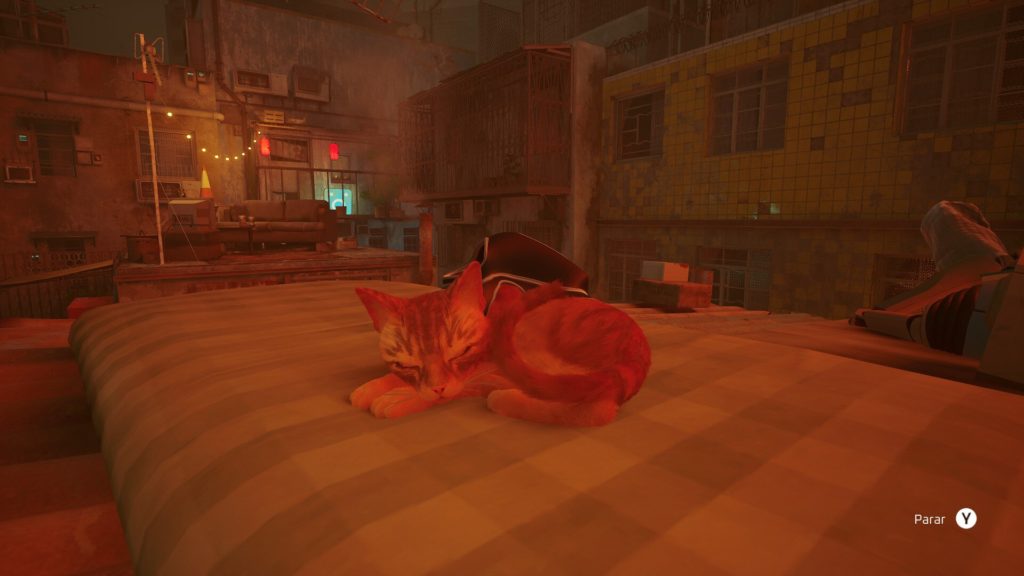 Stray - gato dormindo