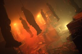 The Callisto Protocol