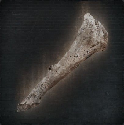 Old Hunter Bone Repair